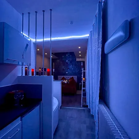 Maison De Monplaisir * Villeurbanne